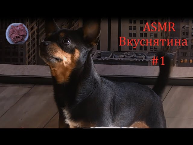 ASMR Не хочется кушать.