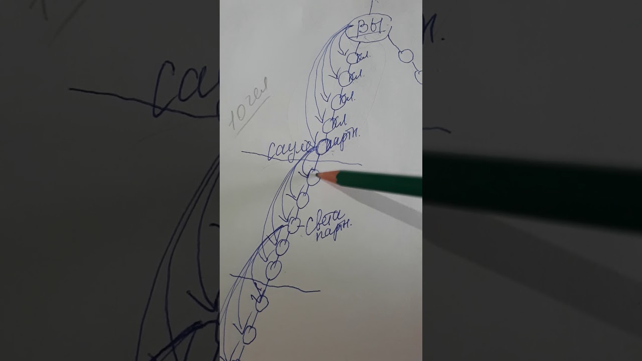 Подробная инструкция как строить ветку