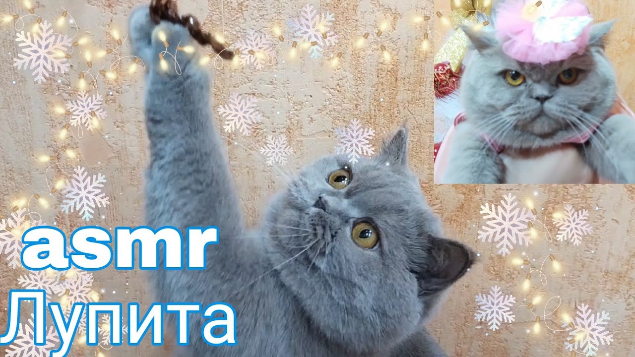 ASMR с Лупитой смотреть со звуком