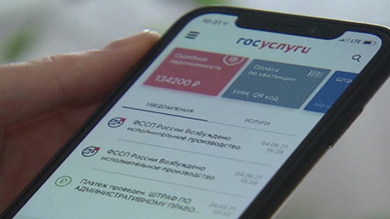 Порнография через госуслуги: доступ к взрослому контенту предложили ограничить