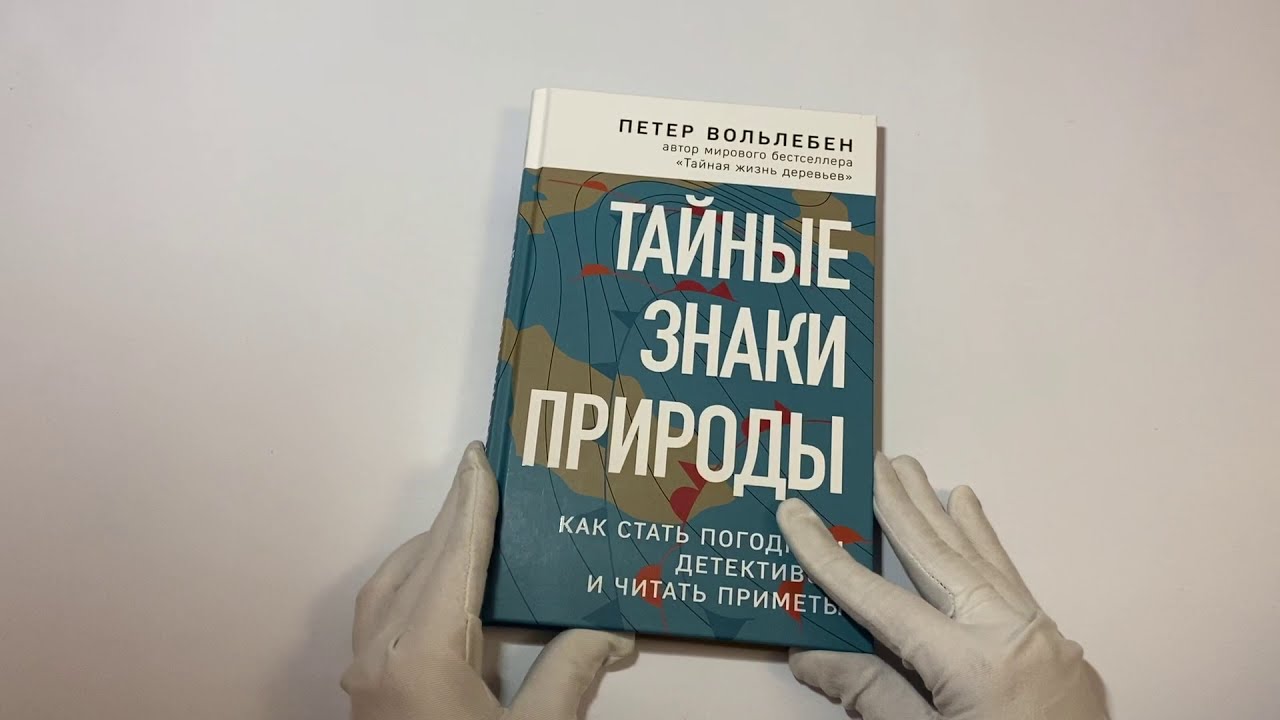 Тайные знаки природы: как стать погодным детективом и читать приметы