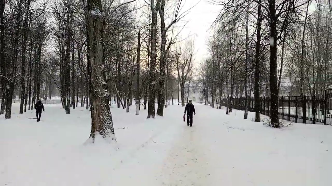 Снежная стихия