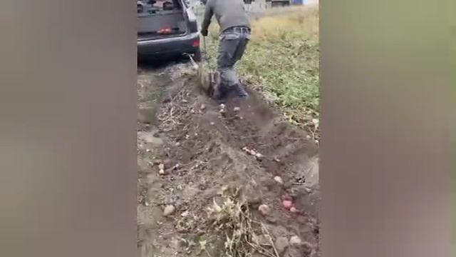 Ребёнок за рулём Лексуса помогал отцу копать картошку  получил два протокола.

Видео с юным водит