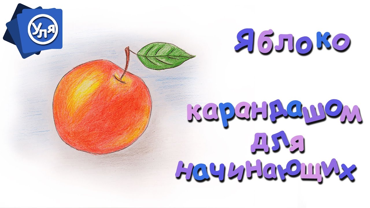 Как нарисовать яблоко  Как нарисовать фрукты карандашом для начинающих