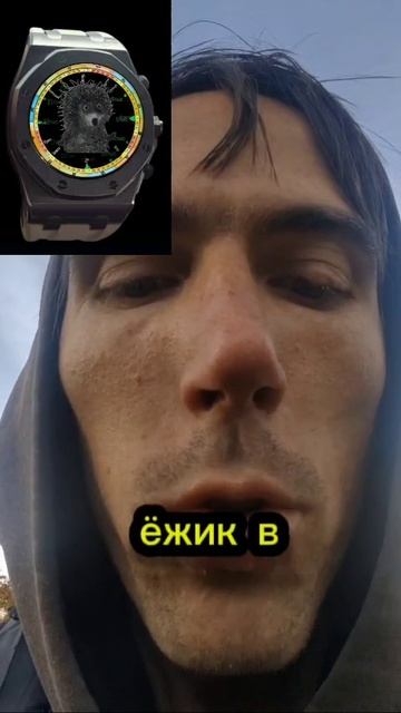 Ёжик В Тумане. Скрытый Смысл