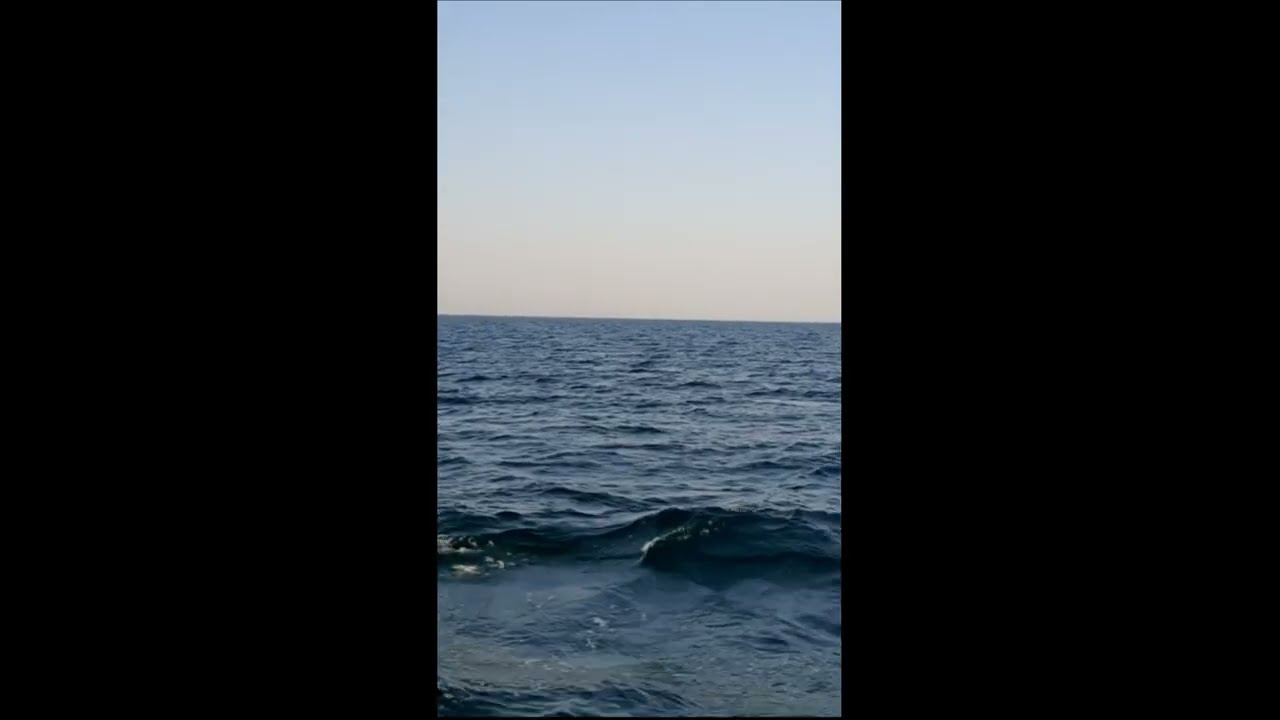 Sea  Ambient Music Море и чайка