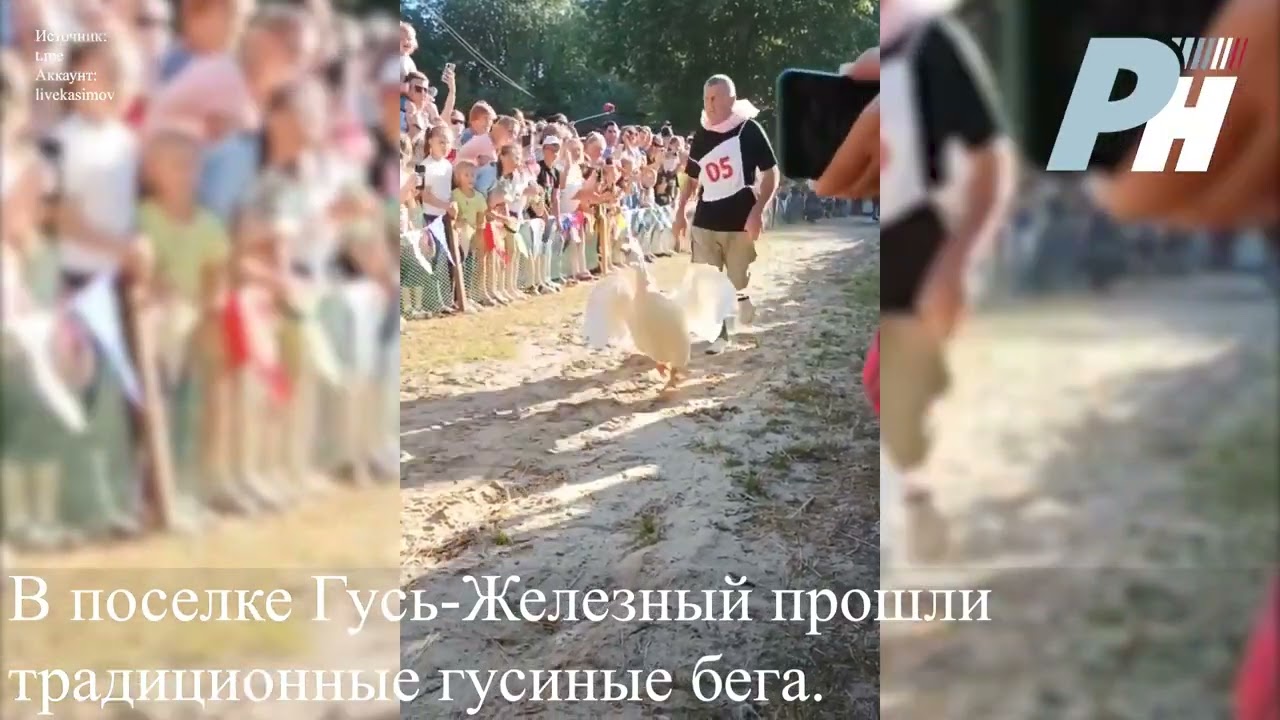 В поселке Гусь Железный прошли «Гусиные бега»