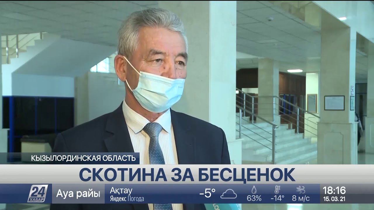 Сбывать скот за бесценок вынуждены фермеры в Кызылординской области