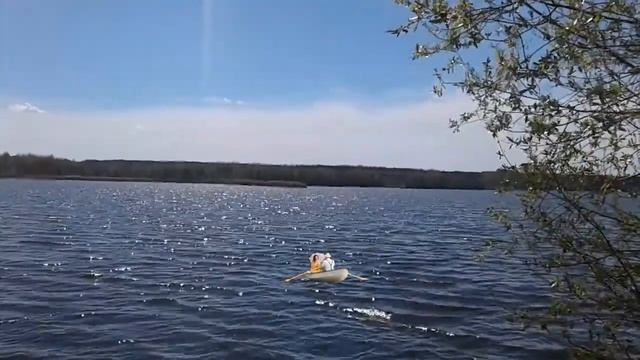 Васильки