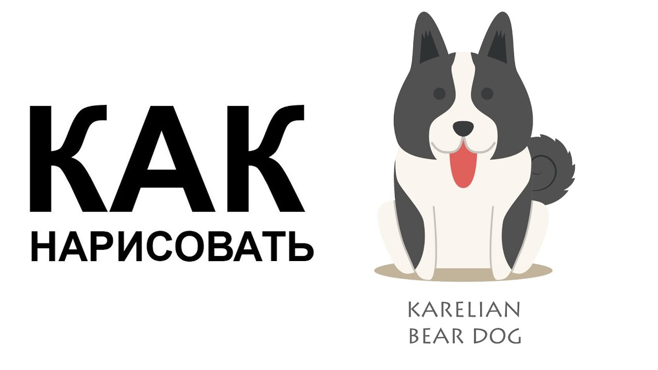 Картинки про собак. КАК НАРИСОВАТЬ СОБАКУ карандашом поэтапно