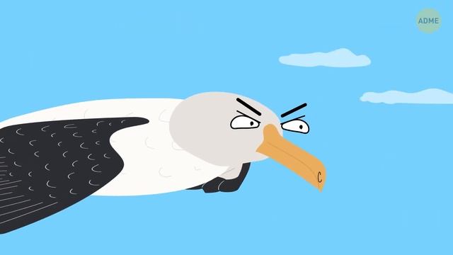 Выглядят СТРАШНО но Безобидны и МИЛЫЕ но ОПАСНЫЕ! Неожиданные Факты о Животных 