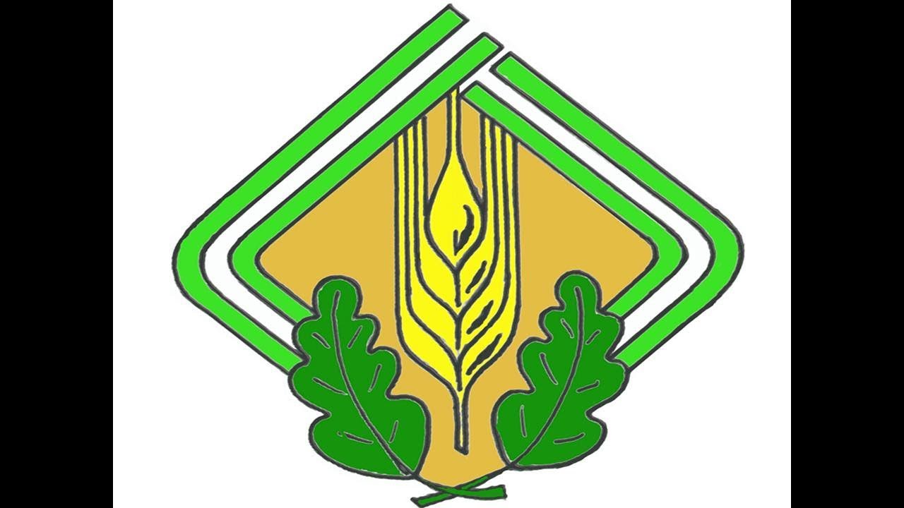 Очистка магистрального канала МК-1, Пк-2 по Пк-24