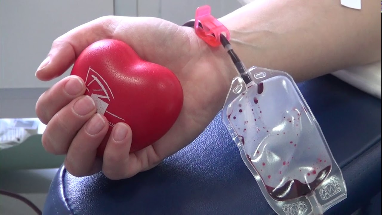 Футажи: СДАЧА КРОВИ 01 07 20
