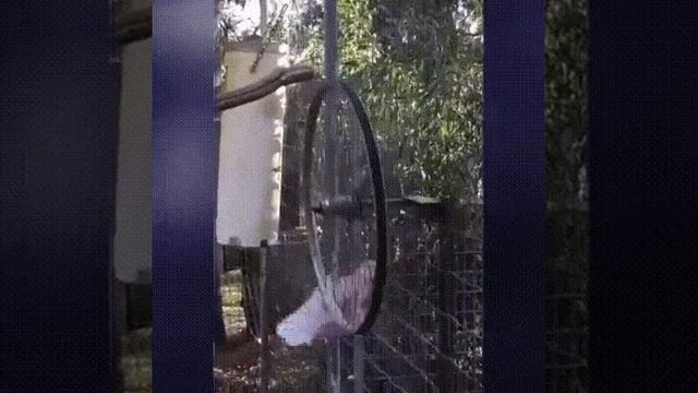 БЫВАЕТ