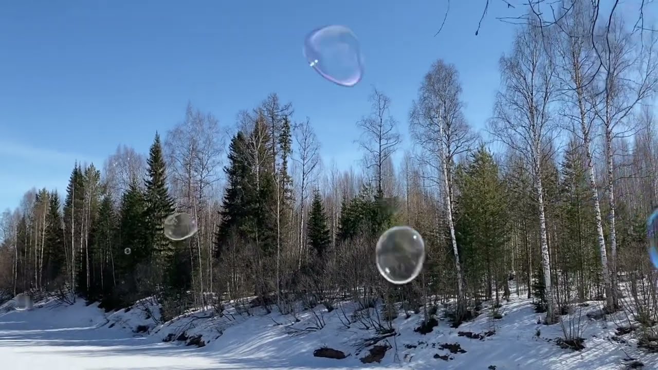 Видеофон  зимний лес  зимняя река  мыльные пузыри