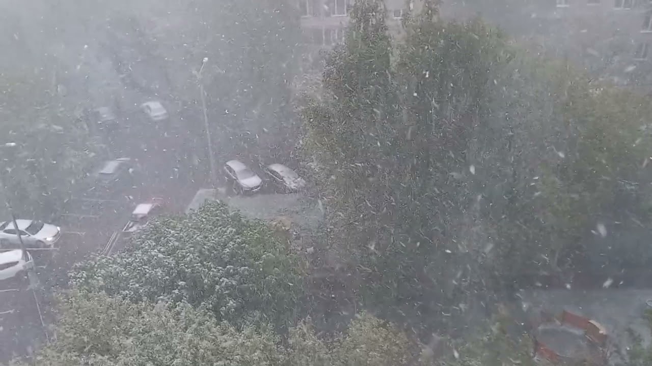Повторный снегопад вечером. Май.