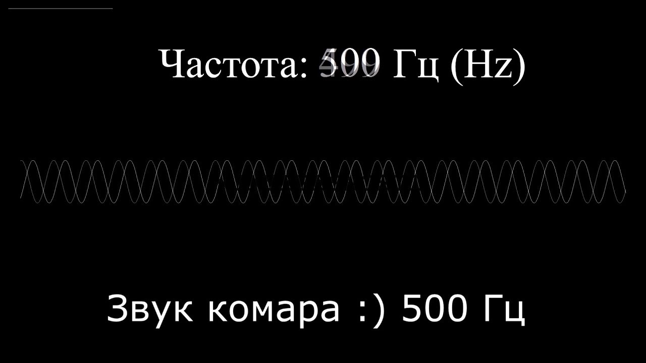 ПРОВЕРЬ СВОЙ СЛУХ КОЛОНКИ НАУШНИКИ! Что слышит человек? Диапазон частоты звука INТЕРЕСНОСТИ