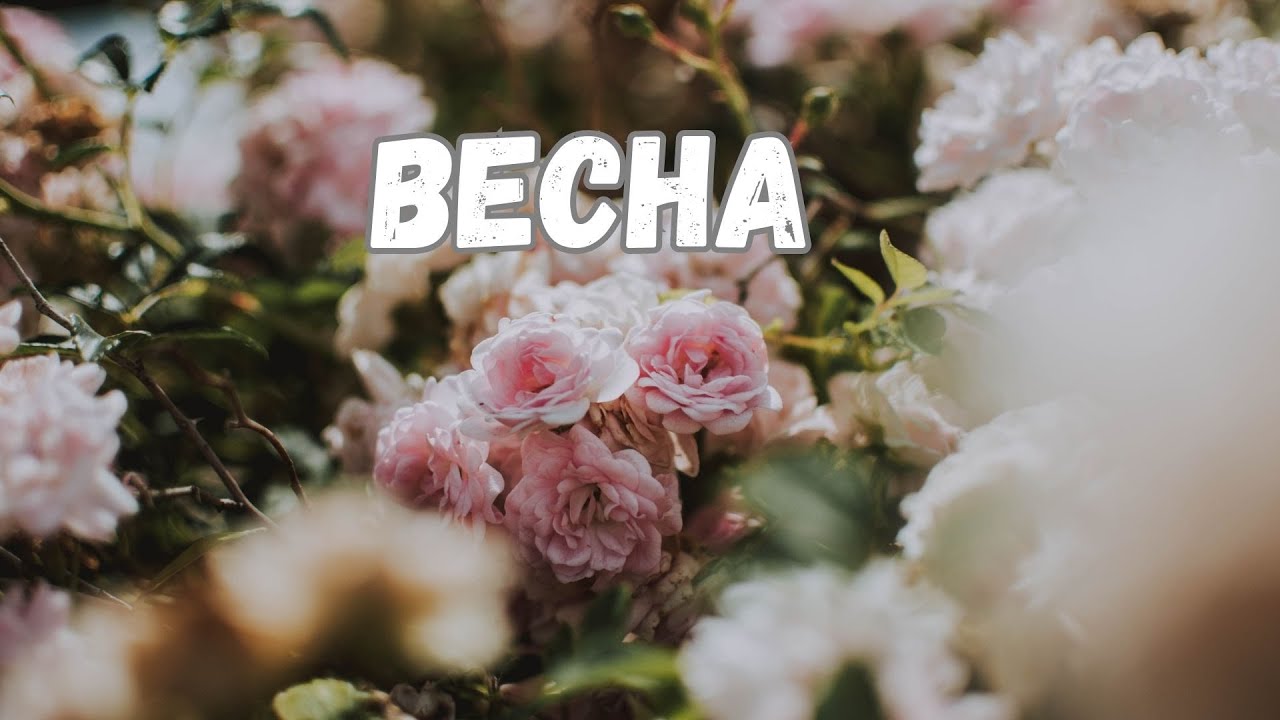 Весна 🌿🌸🕊Короткое стихотворение 💭 Доброе утро и позитив весеннего дня ☀️