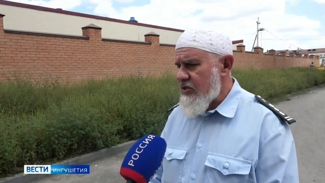 В Ингушетии Россельхознадзор ведет системную работу по уничтожению амброзии