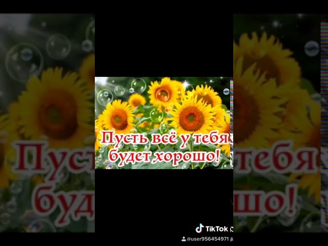 Доброе утро 🌞 всем кто только проснулся хорошего дня вам настроения улыбнитесь раздувайтесь