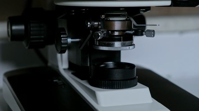 ПЛМ-2 — лабораторный поляризационный микроскоп
