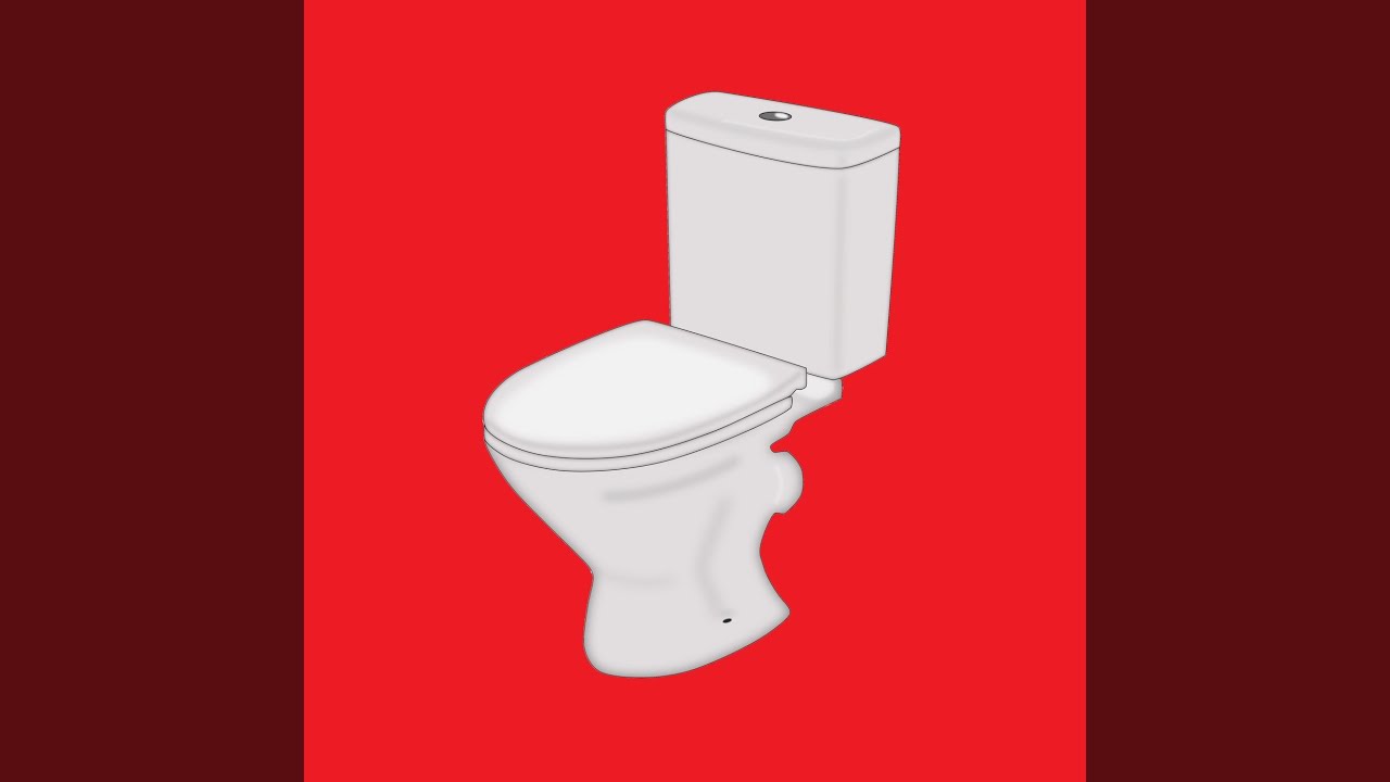 The sound of the toilet flushing 21