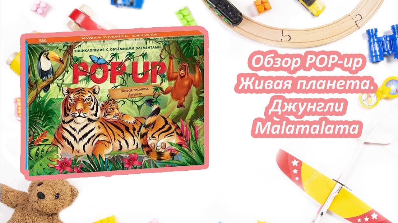 Обзор книги malamalama POP UP. Живая планета. Джунгли