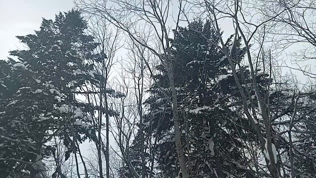 снежные тропинки