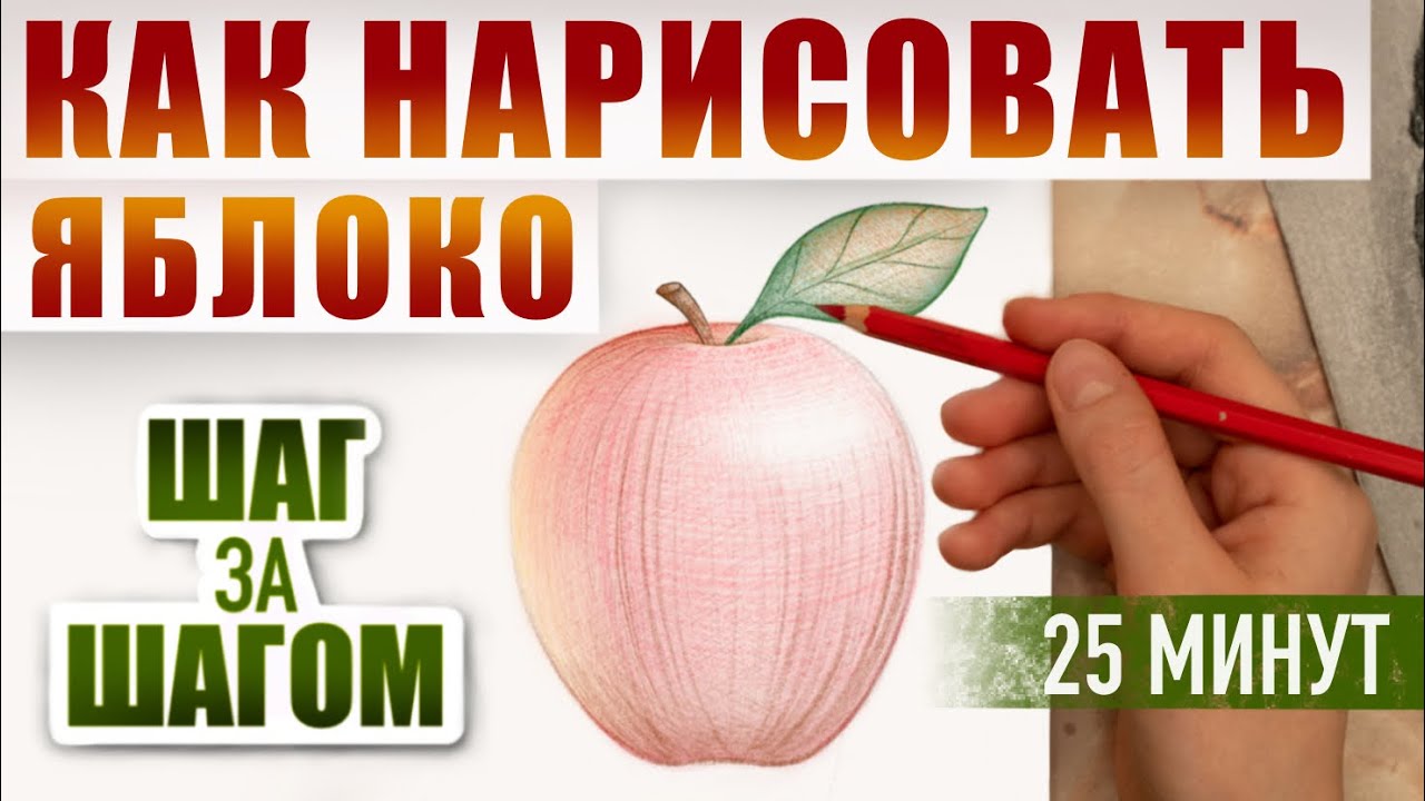 Как нарисовать яблоко поэтапно карандашами  Обучающий видео урок по рисованию для начинающих.