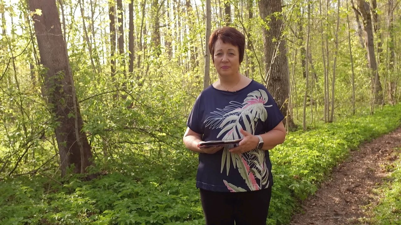 2798. Хлеб на каждый день. Псалом 44:17