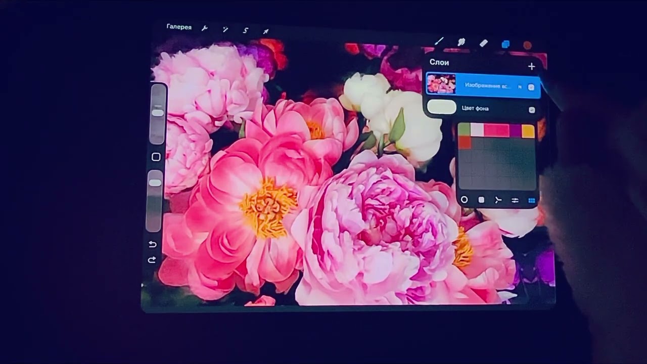 создаём раскраску в Procreate из любого фото  прокачиваем чувство цвета