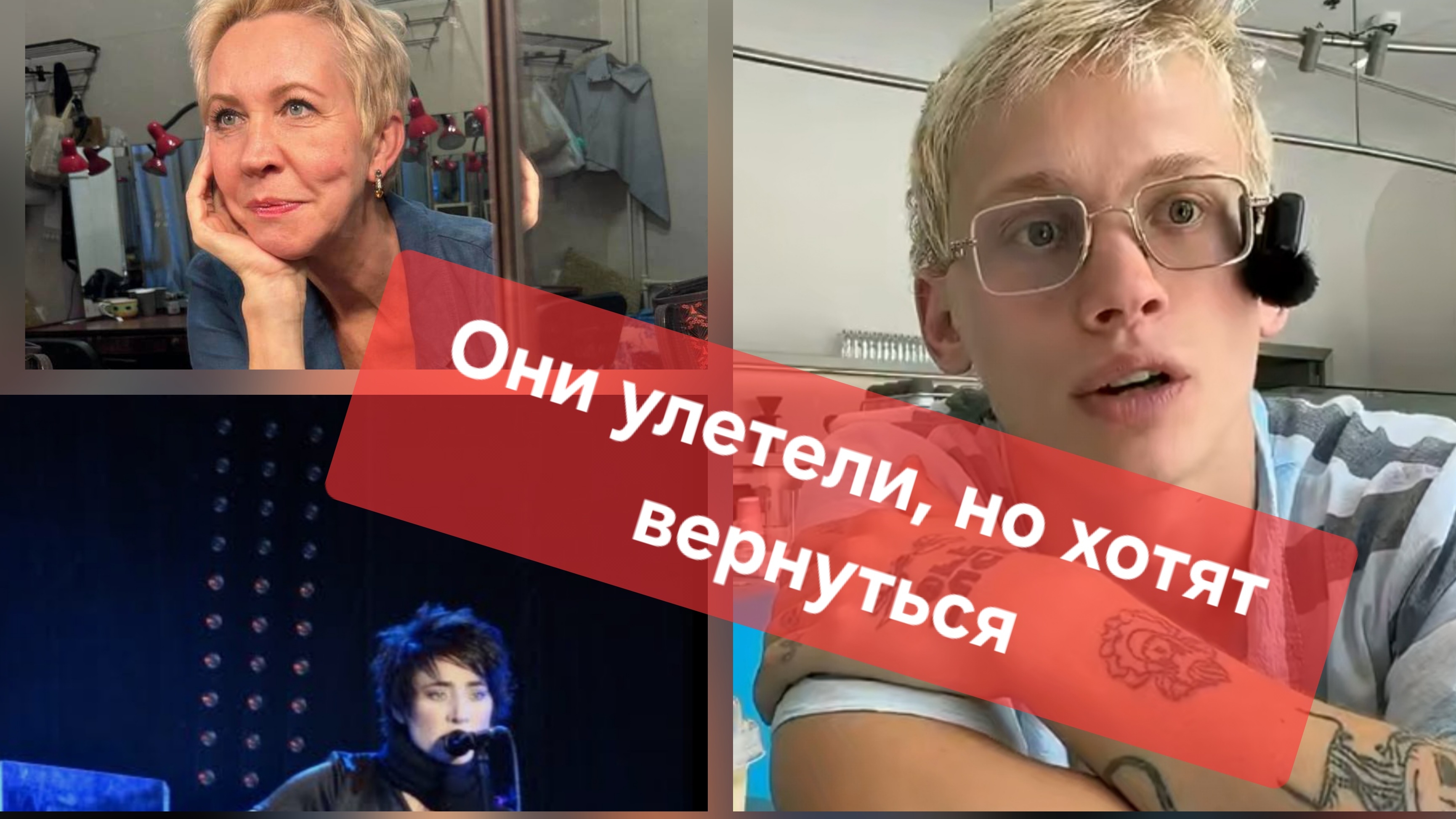 Они улетели,  но хотят вернуться