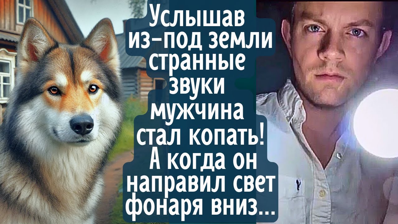 Услышав из-под земли странные звуки мужчина стал копать! А когда он направил свет фонаря вниз ...