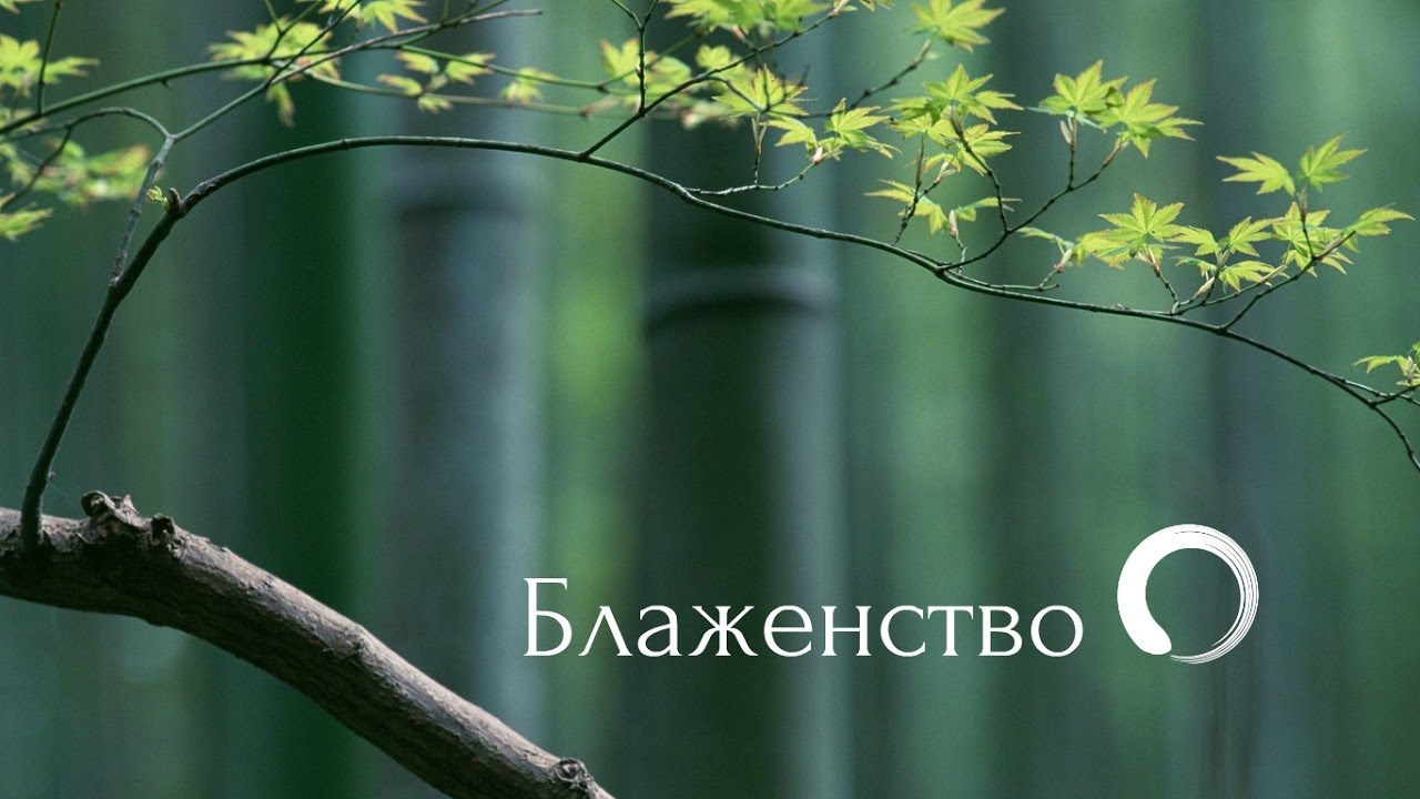 Блаженство - Звук хлопка одной ладони