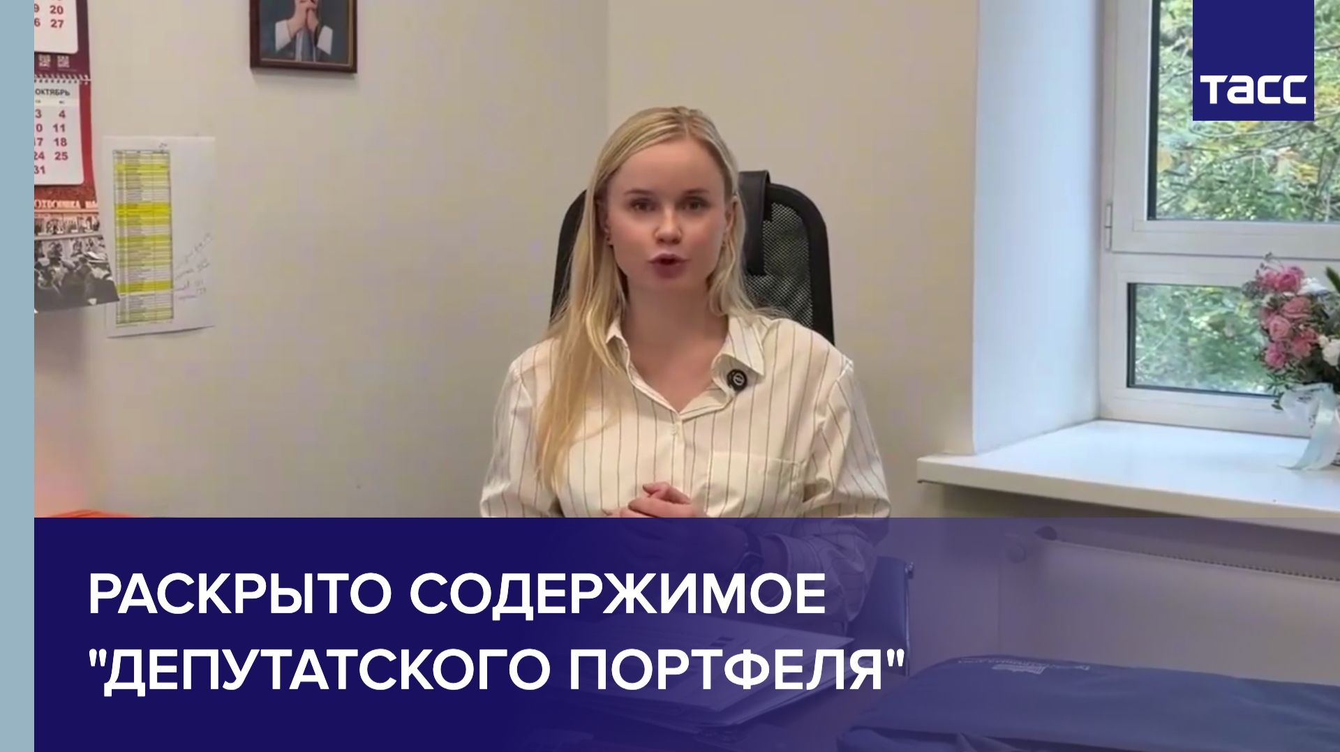 Раскрыто содержимое депутатского портфеля
