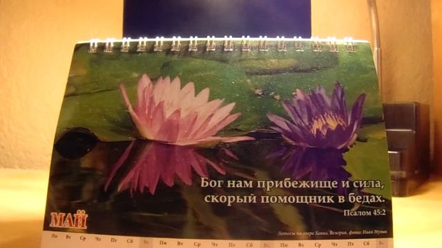 ОТВЕТЫ НА ВОПРОСЫМАЙ 2019Даниэль Нистар