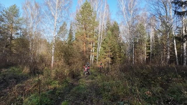 Едем двумя парами на эндуро в лес regulmoto crx 300pro gladiator c3 kews k12 и jhl sx150