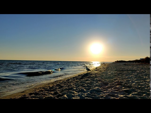 VLOG: Звуки природы море релакс видео 24.08.2020
