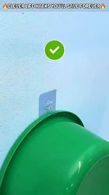 1000027536.mp4