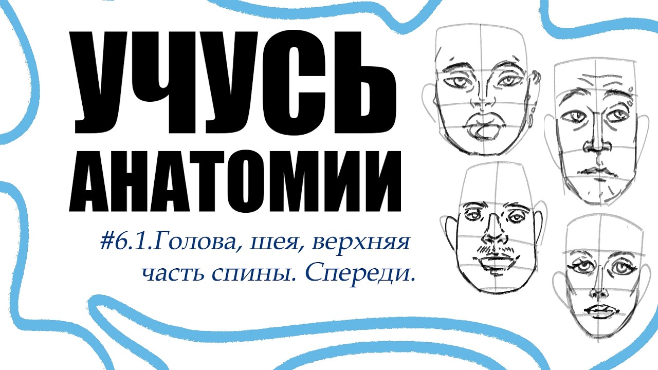  УЧУСЬ АНАТОМИИ  6.1  Голова шея верхняя часть спины. Спереди.