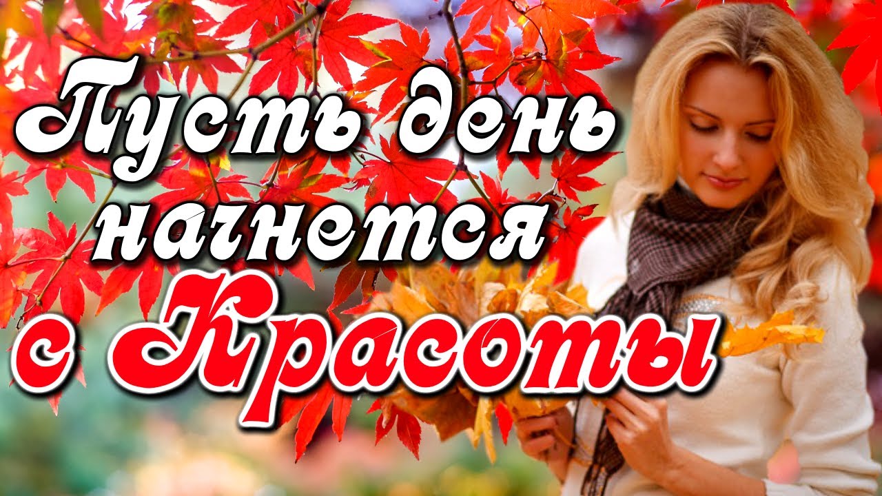 Доброе утро! Красота вокруг только оглянись! Красивое поздравление С днем Красоты