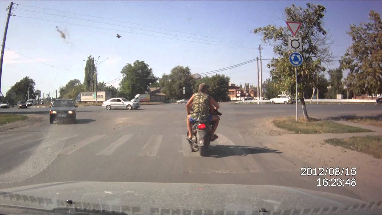 Собака - дорогу хвостом подметака