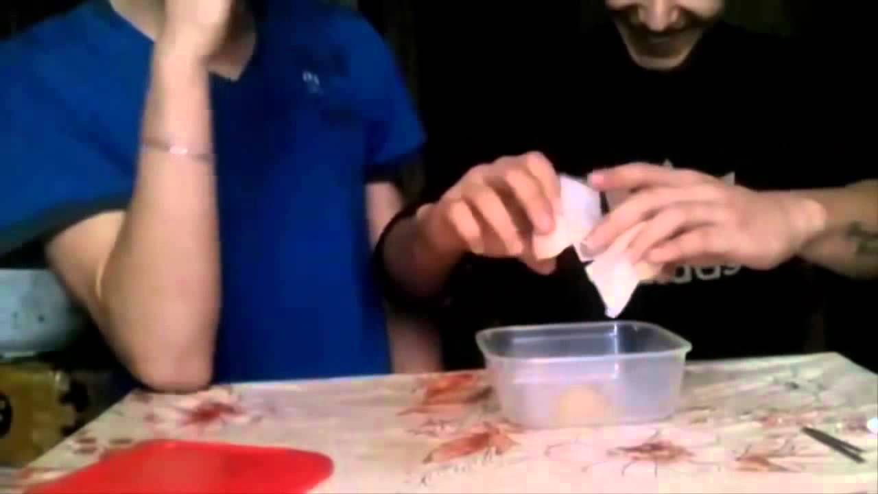 Гомункул  Как его делать???