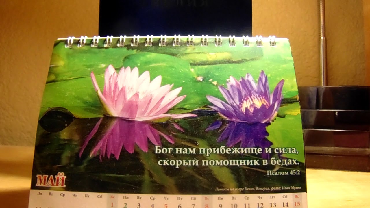 ОТВЕТЫ НА ВОПРОСЫМАЙ 2019Даниэль Нистар