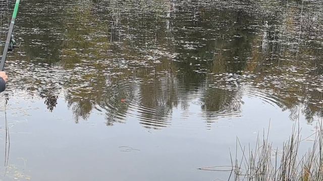 Вязовлог сентября 3 Чертова дюжина 2 отчет 6 извяжу_13