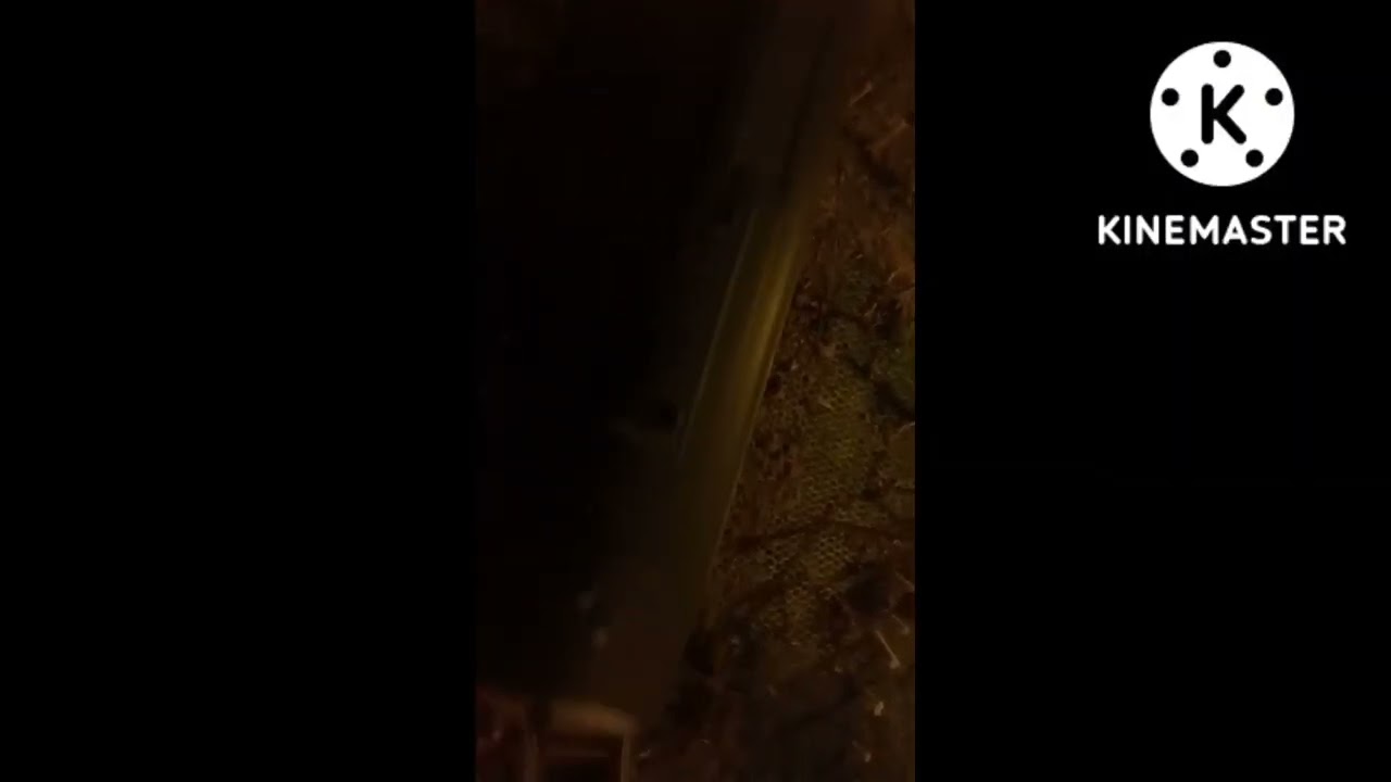 заставка на моём канале Если вам понравилось заставка Поставьте лайк