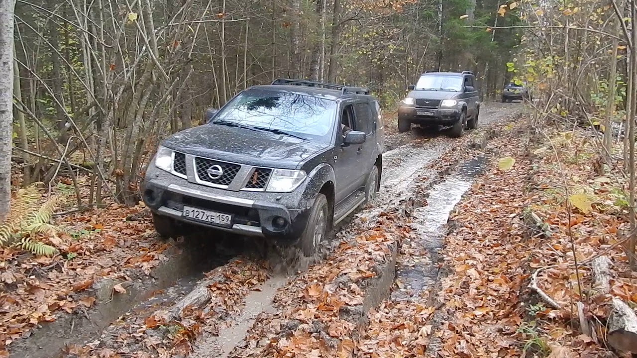 Offroad лайт в осеннем лесу