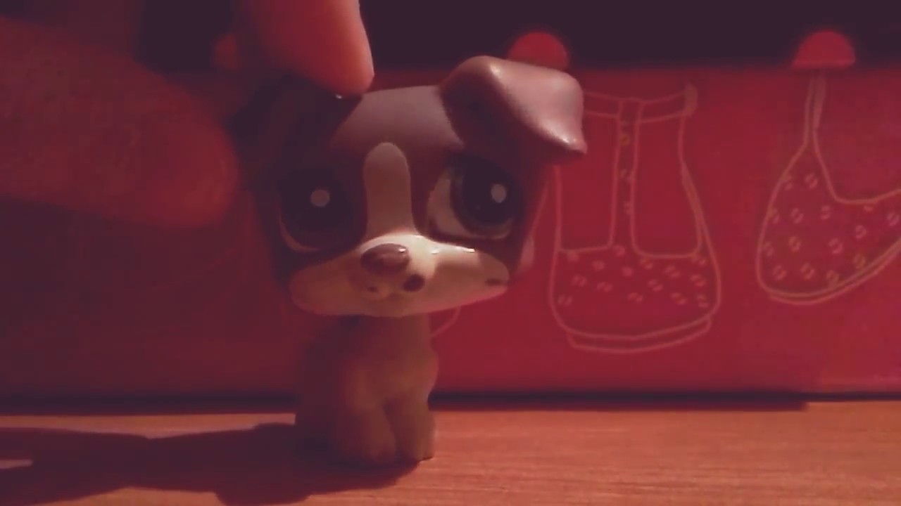 LPS: ТОП 10 любимых LPS
