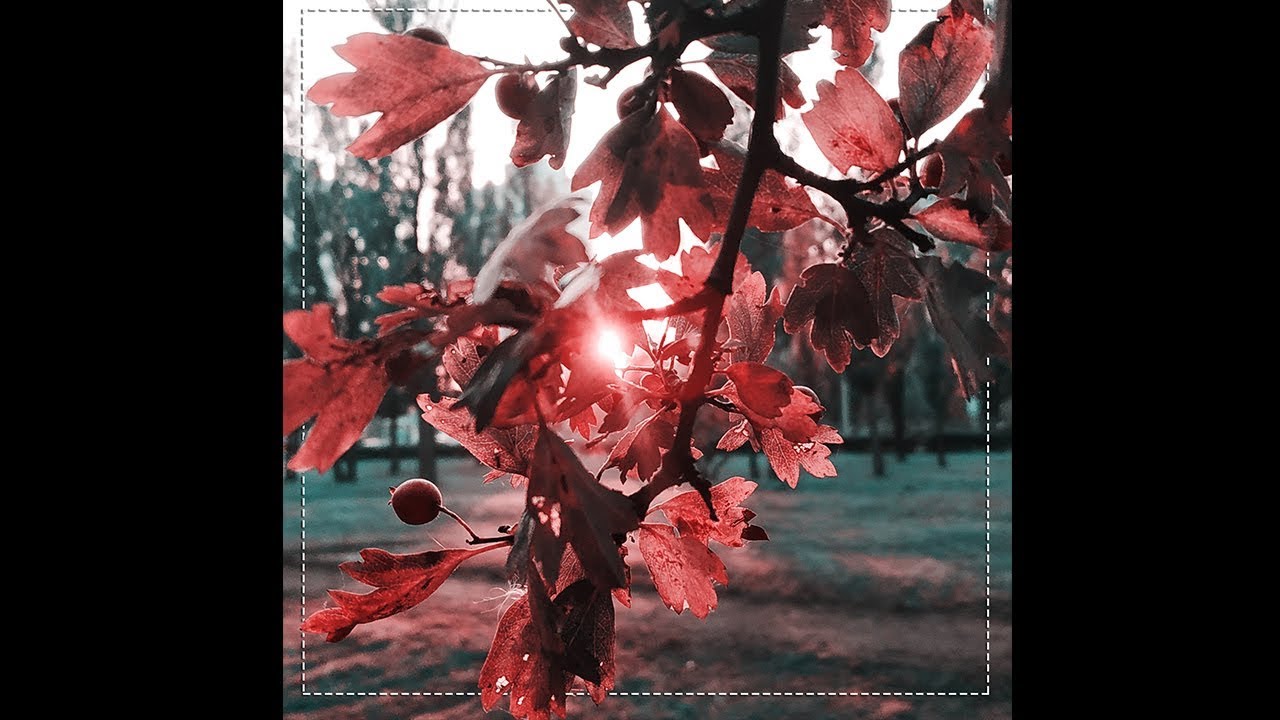 Обработка фото  Как я обрабатываю фотографии