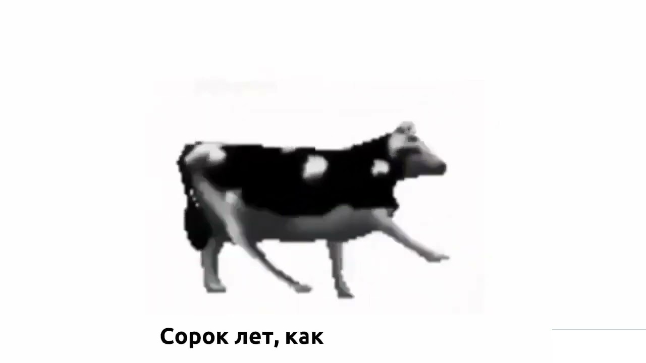 ГОВНОВОЗ x polish cow версияversion Побег от тимохиEscape from Timokha